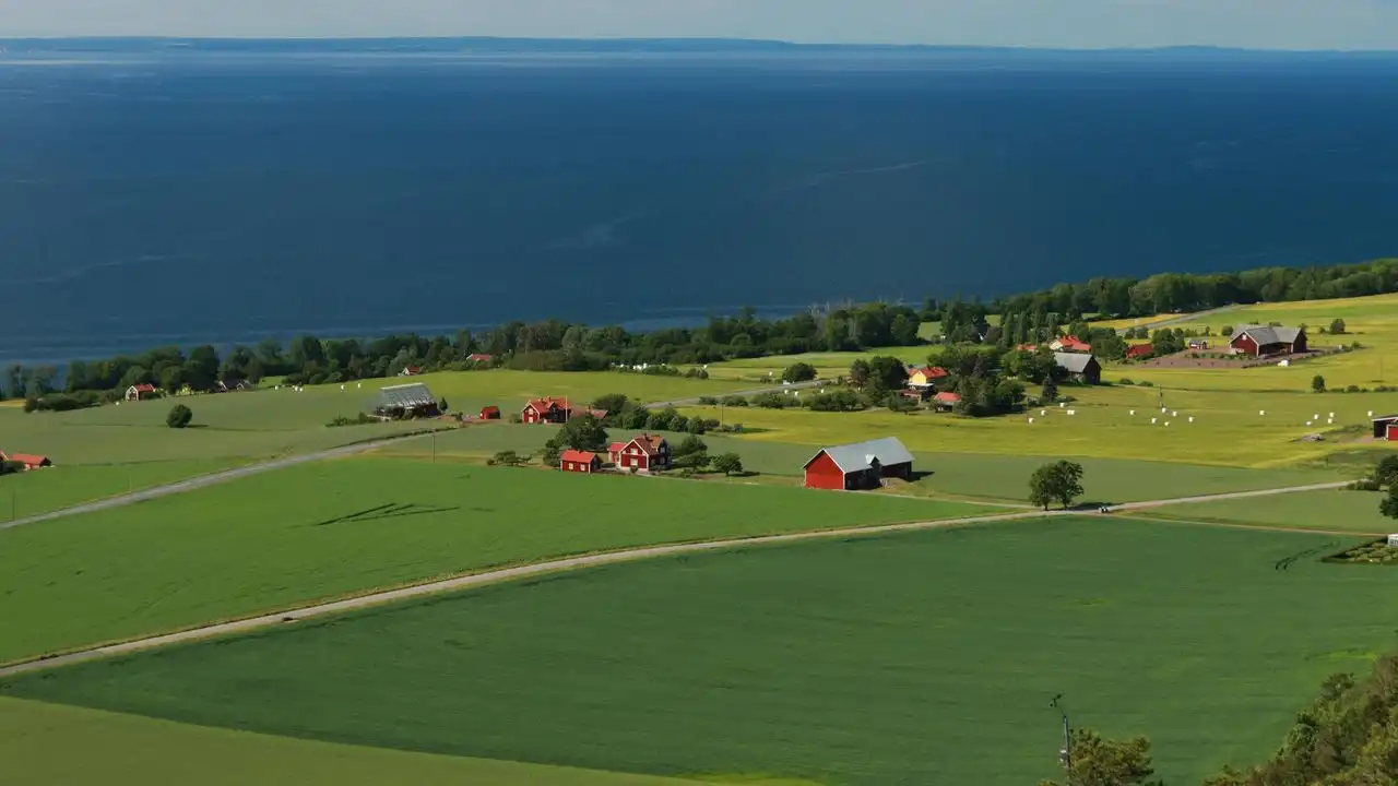 Best Ways To Learn Swedish Online For Beginners